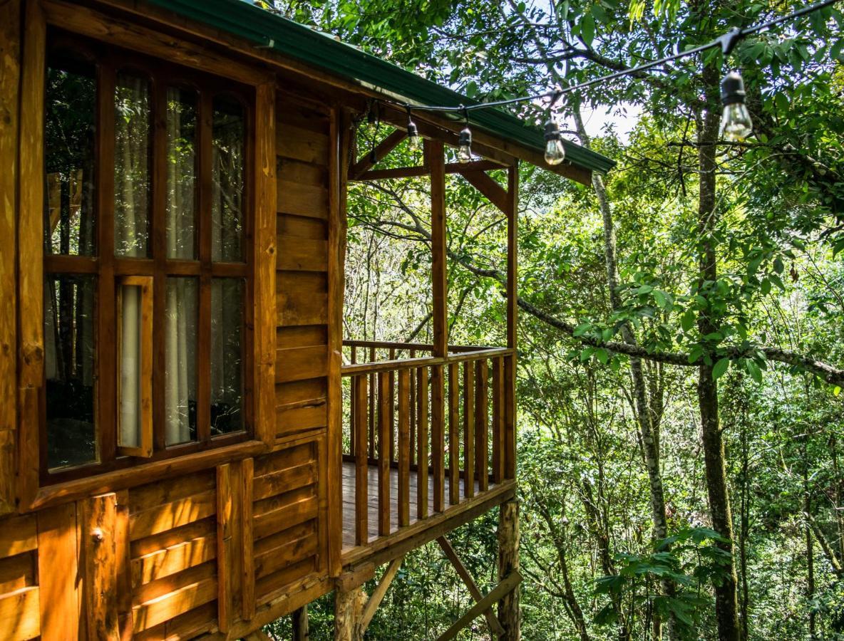 Cabanas El Coyote San Pablo  Eksteriør bilde