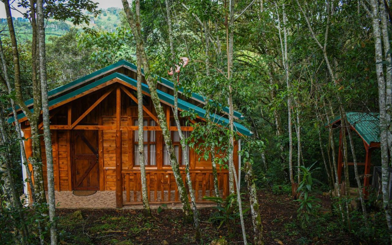 Cabanas El Coyote San Pablo  Eksteriør bilde
